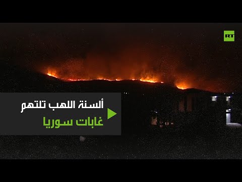 شاهد حرائق واسعة غربي سورية والنيران تلتهم الغابات