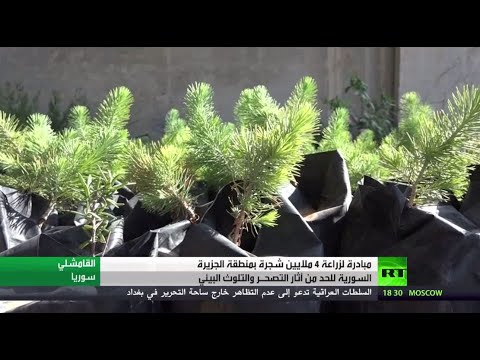 شاهد مبادرة لزراعة 4 ملايين شجرة في منطقة الجزيرة السورية